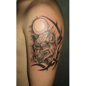 ���� �� �����: ����